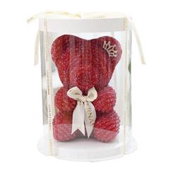 Rhinestone Teddy Bear